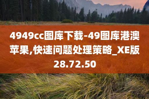 4949cc图库下载-49图库港澳苹果,快速问题处理策略_XE版28.72.50