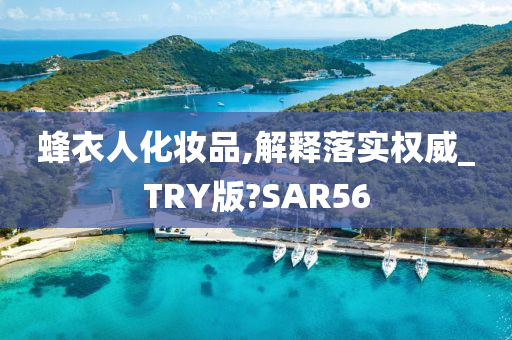 蜂衣人化妆品,解释落实权威_TRY版?SAR56