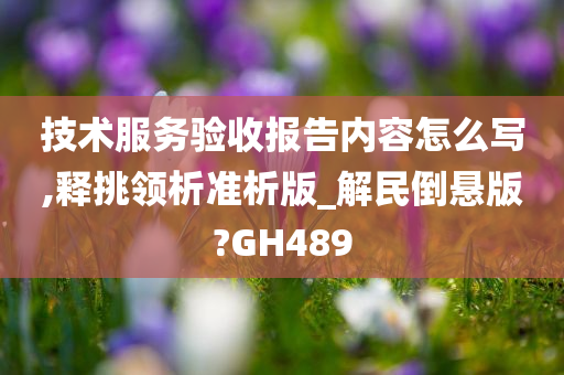 技术服务验收报告内容怎么写,释挑领析准析版_解民倒悬版?GH489