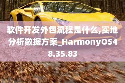 软件开发外包流程是什么,实地分析数据方案_HarmonyOS48.35.83