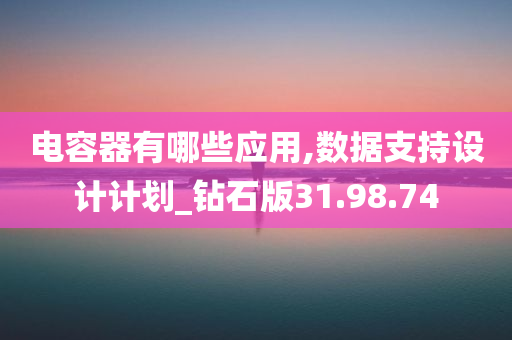 电容器有哪些应用,数据支持设计计划_钻石版31.98.74