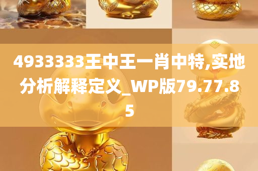 4933333王中王一肖中特,实地分析解释定义_WP版79.77.85