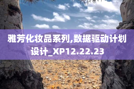 雅芳化妆品系列,数据驱动计划设计_XP12.22.23