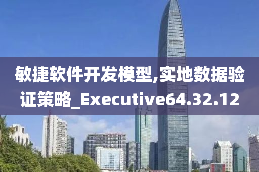 敏捷软件开发模型,实地数据验证策略_Executive64.32.12