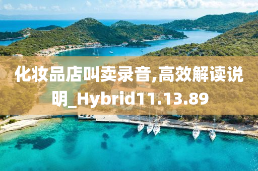 化妆品店叫卖录音,高效解读说明_Hybrid11.13.89