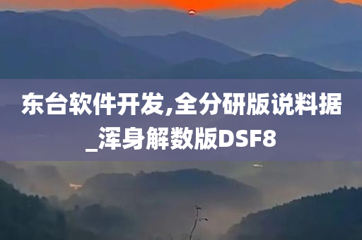 东台软件开发,全分研版说料据_浑身解数版DSF8