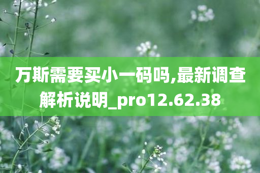 万斯需要买小一码吗,最新调查解析说明_pro12.62.38