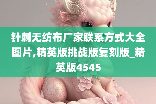 针刺无纺布厂家联系方式大全图片,精英版挑战版复刻版_精英版4545