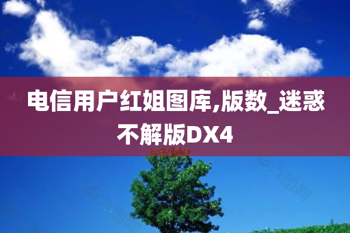 电信用户红姐图库,版数_迷惑不解版DX4