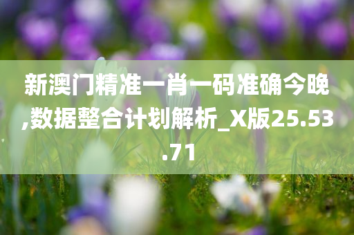 新澳门精准一肖一码准确今晚,数据整合计划解析_X版25.53.71