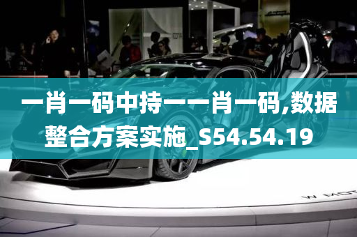 一肖一码中持一一肖一码,数据整合方案实施_S54.54.19