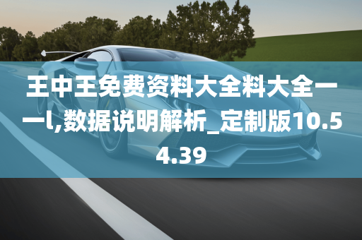 王中王免费资料大全料大全一一l,数据说明解析_定制版10.54.39