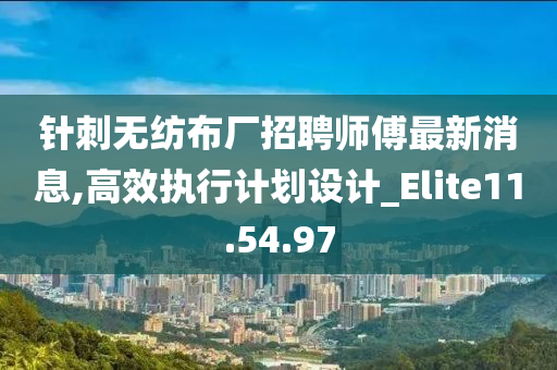 针刺无纺布厂招聘师傅最新消息,高效执行计划设计_Elite11.54.97