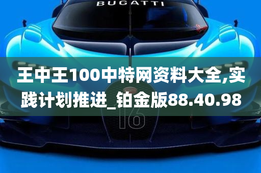 王中王100中特网资料大全,实践计划推进_铂金版88.40.98