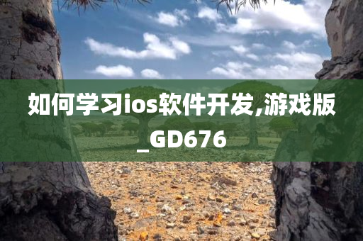 如何学习ios软件开发,游戏版_GD676