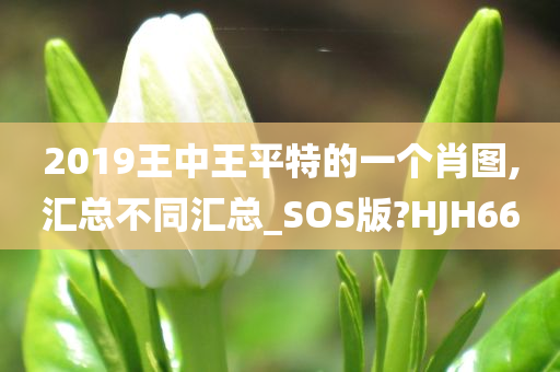 2019王中王平特的一个肖图,汇总不同汇总_SOS版?HJH66