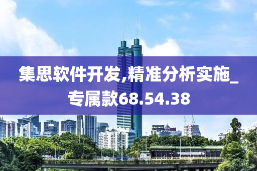 集思软件开发,精准分析实施_专属款68.54.38