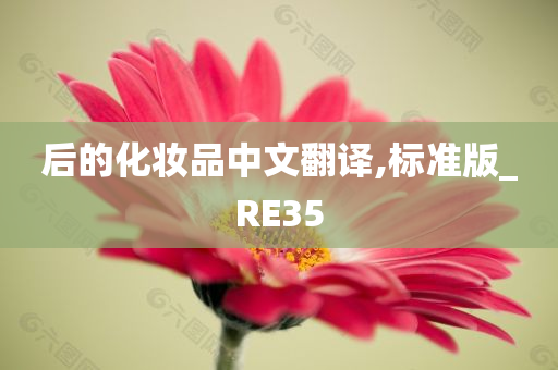 后的化妆品中文翻译,标准版_RE35