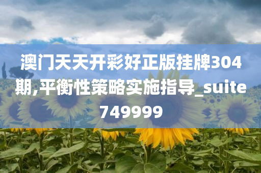 澳门天天开彩好正版挂牌304期,平衡性策略实施指导_suite749999