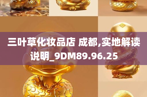 三叶草化妆品店 成都,实地解读说明_9DM89.96.25