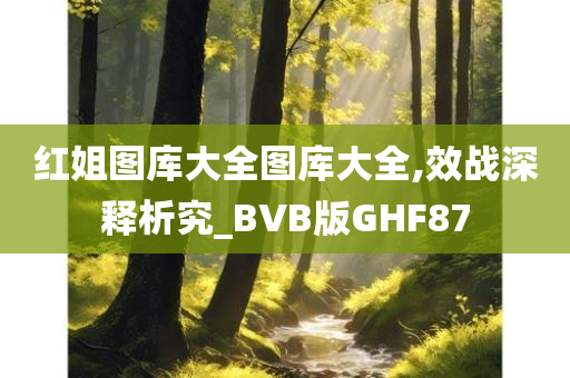 红姐图库大全图库大全,效战深释析究_BVB版GHF87