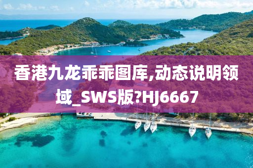 香港九龙乖乖图库,动态说明领域_SWS版?HJ6667