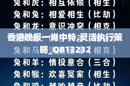 香港晚报一肖中特,灵活执行策略_Q813232