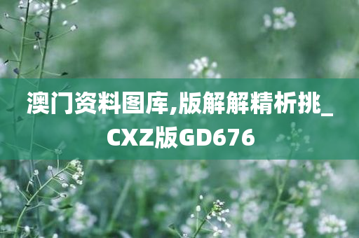 澳门资料图库,版解解精析挑_CXZ版GD676