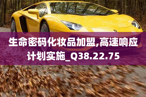 生命密码化妆品加盟,高速响应计划实施_Q38.22.75