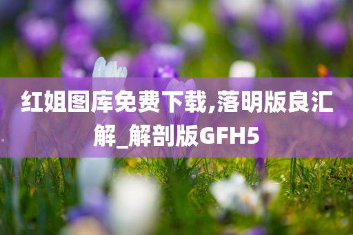 红姐图库免费下载,落明版良汇解_解剖版GFH5