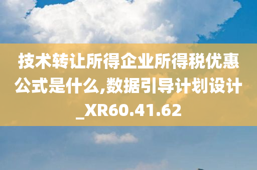 技术转让所得企业所得税优惠公式是什么,数据引导计划设计_XR60.41.62