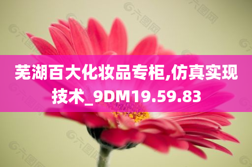 芜湖百大化妆品专柜,仿真实现技术_9DM19.59.83