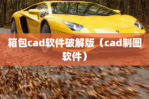 箱包cad软件破解版（cad制图软件）