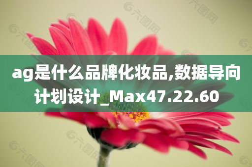 ag是什么品牌化妆品,数据导向计划设计_Max47.22.60