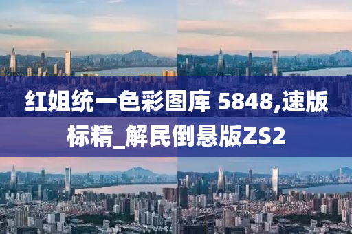 红姐统一色彩图库 5848,速版标精_解民倒悬版ZS2