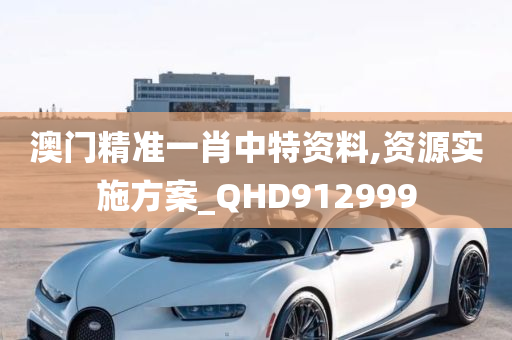 澳门精准一肖中特资料,资源实施方案_QHD912999