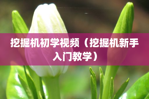 挖掘机初学视频（挖掘机新手入门教学）