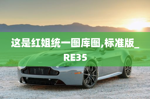 这是红姐统一图库图,标准版_RE35