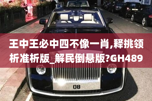 王中王必中四不像一肖,释挑领析准析版_解民倒悬版?GH489