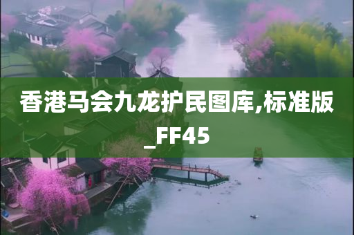 香港马会九龙护民图库,标准版_FF45