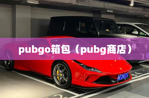 pubgo箱包（pubg商店）