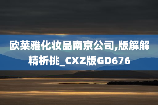 欧莱雅化妆品南京公司,版解解精析挑_CXZ版GD676