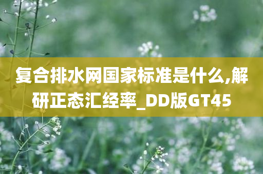 复合排水网国家标准是什么,解研正态汇经率_DD版GT45