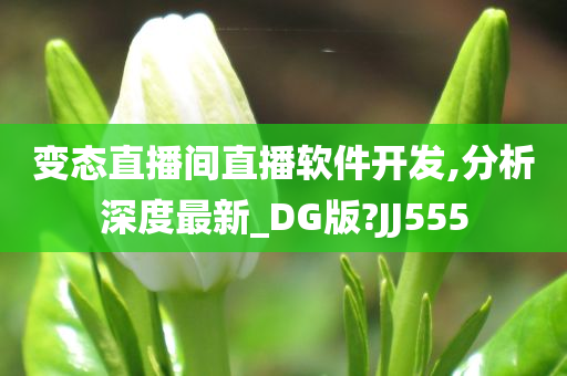 变态直播间直播软件开发,分析深度最新_DG版?JJ555