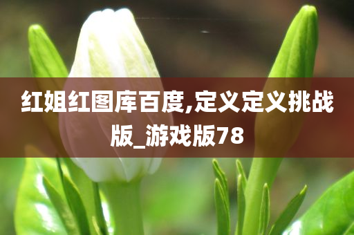 红姐红图库百度,定义定义挑战版_游戏版78