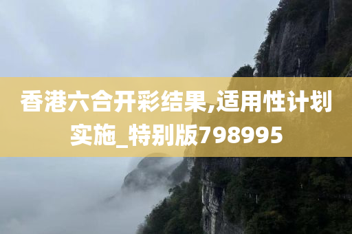 香港六合开彩结果,适用性计划实施_特别版798995