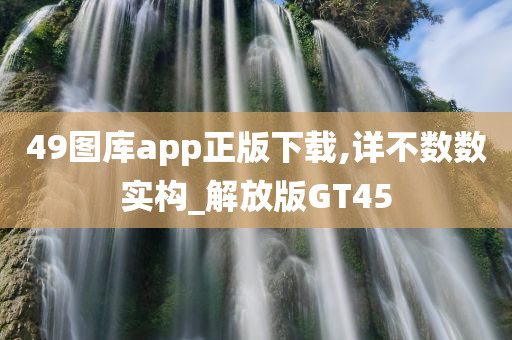 49图库app正版下载,详不数数实构_解放版GT45