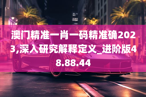 澳门精准一肖一码精准确2023,深入研究解释定义_进阶版48.88.44