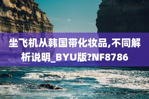 坐飞机从韩国带化妆品,不同解析说明_BYU版?NF8786