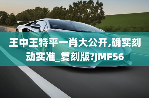 王中王特平一肖大公开,确实刻动实准_复刻版?JMF56